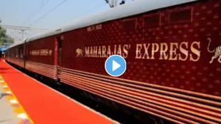 maharaja express ticket rate viral video