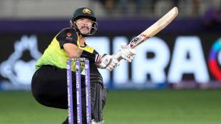 BBL Matthew Wade banned for one match