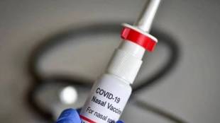 incovacc intranasal vaccine for covid 19