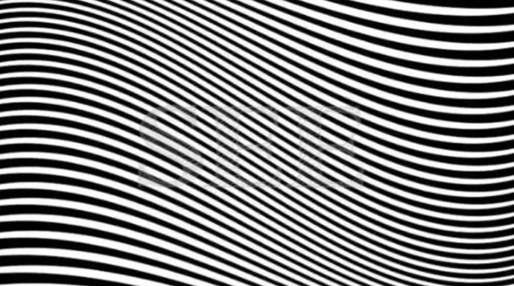 Optical illusion Photo: अशा फोटोंमुळेच बुद्धीला कस लागतो, मग शोधा पाहू काळ्या-सफेद रेषांमध्ये लपलेला इंग्रजी शब्द