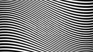 optical illusion viral photo