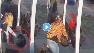 raccoon attacked viral video