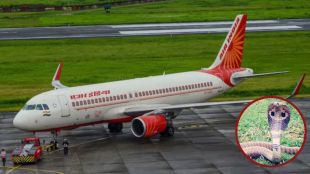 snake in air india express