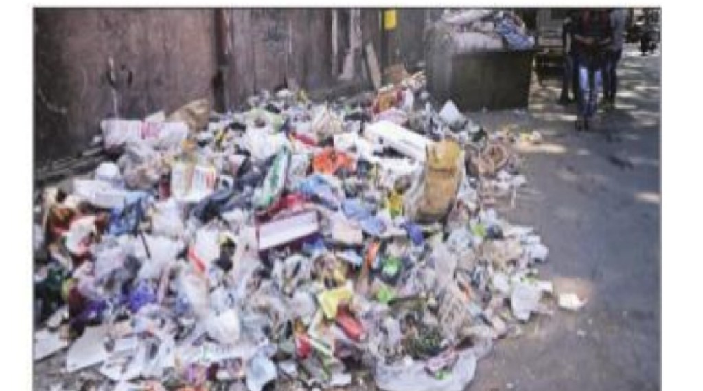 मुंबई: पुन्हा भूमिगत कचरापेट्या, कफ परेडमध्ये झाडांची कत्तल करून भूमिगत कचरापेट्यांसाठी जागा
