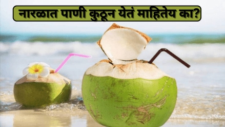 Do You Know How Does Coconut Gets Water Inside Strong shell Scientific Answers How Khobra Is Made
