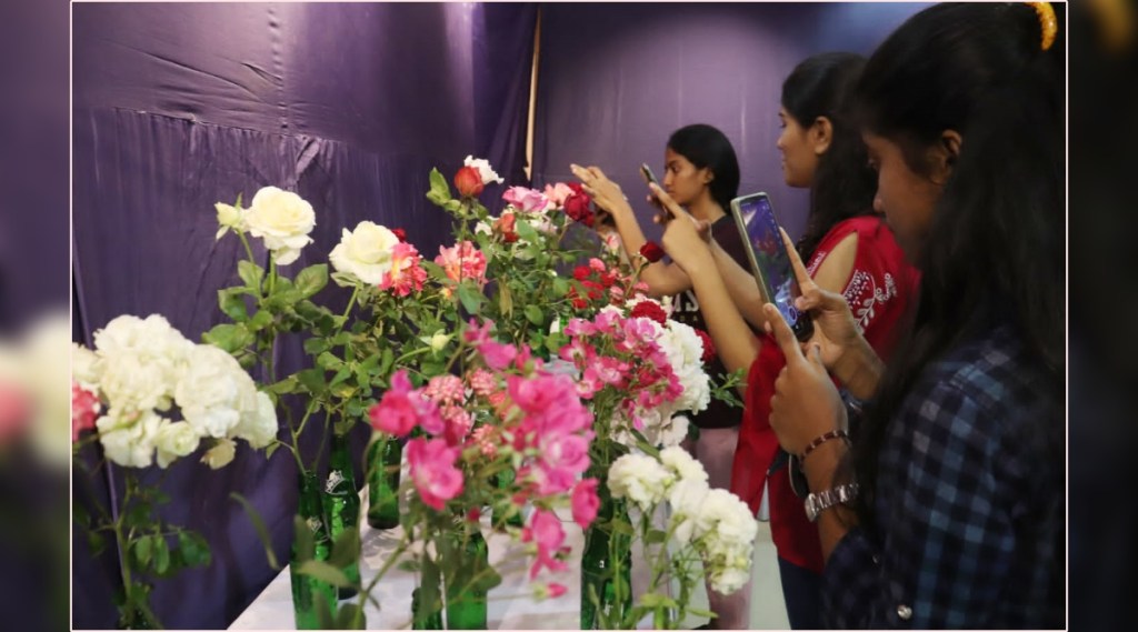 Rose flower exhibition started at Bal Bhavan in Dombivli