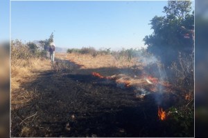 to wildfires in Varunje Division of nashik