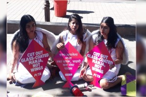 Public awareness in Pune by 'Peta' activists about not using glass manja