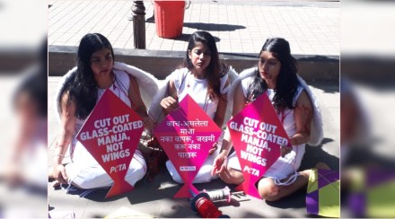 Public awareness in Pune by 'Peta' activists about not using glass manja