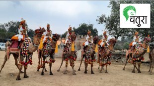 India Republic Day 2023 bsf camel riders