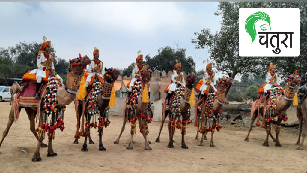 India Republic Day 2023 bsf camel riders