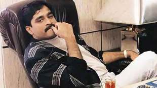 information about gangster dawood Ibrahim