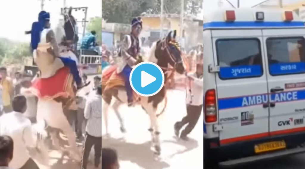 Video Groom Falls On The Ground Injures Hips Netizens Pity Bride Horse Started Jumping Shocking Clip Went Viral