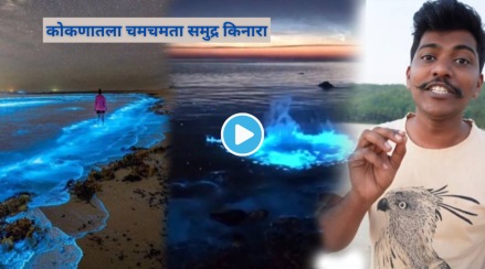 Video Konkan Tourism Blue Glowing beach Bio Illumination Why Does Waves Look Blue And Glittery Konkani Ranmanus