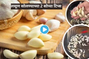 How To Peel Garlic Easily in 2 Minutes Easy Kitchen Tips By Smart Housewife Cooking Tricks Video