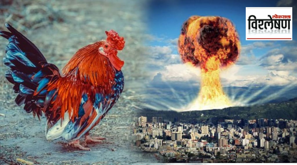विश्लेषण: जिवंत कोंबड्यांचे हत्यार! शीतयुद्धातील ऑपरेशन ब्ल्यू पिकॉकचे हादरवून टाकणारे सत्य जाणून घ्या
