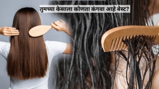 Which Comb Is Suitable For Your Hair Type Who Should use Wooden Or Plastic Comb Know From Expert