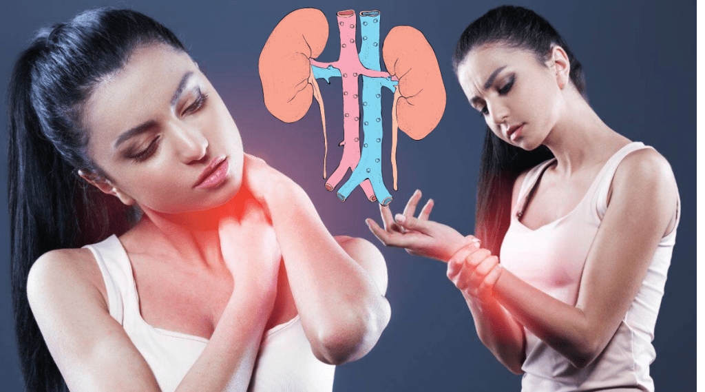 High Uric Acid Can Cause Extreme Pain In These Body Parts Can be Sign Of Kidney Failure Know From Health Expert