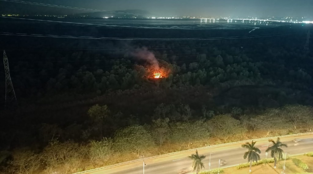 नवी मुंबई : सानपाडा कांदळवनात संशयास्पद आग…हतबल अग्निशमन दल
