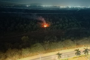 Navi Mumbai , Sanpada, mangrove forest, Fire, Fire Brigade