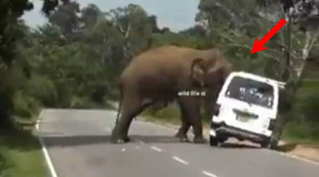 IFS Officer Shares video of Angry Elephant trying to search for food inside car says dont feed wild animals