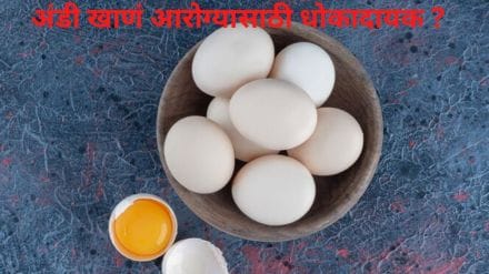 Eggs Side Effects On Human Body