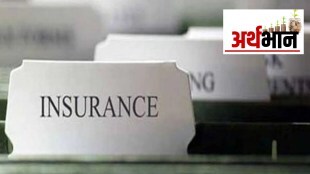 Insurance policy, medical coverage, investment, Safety cover, life