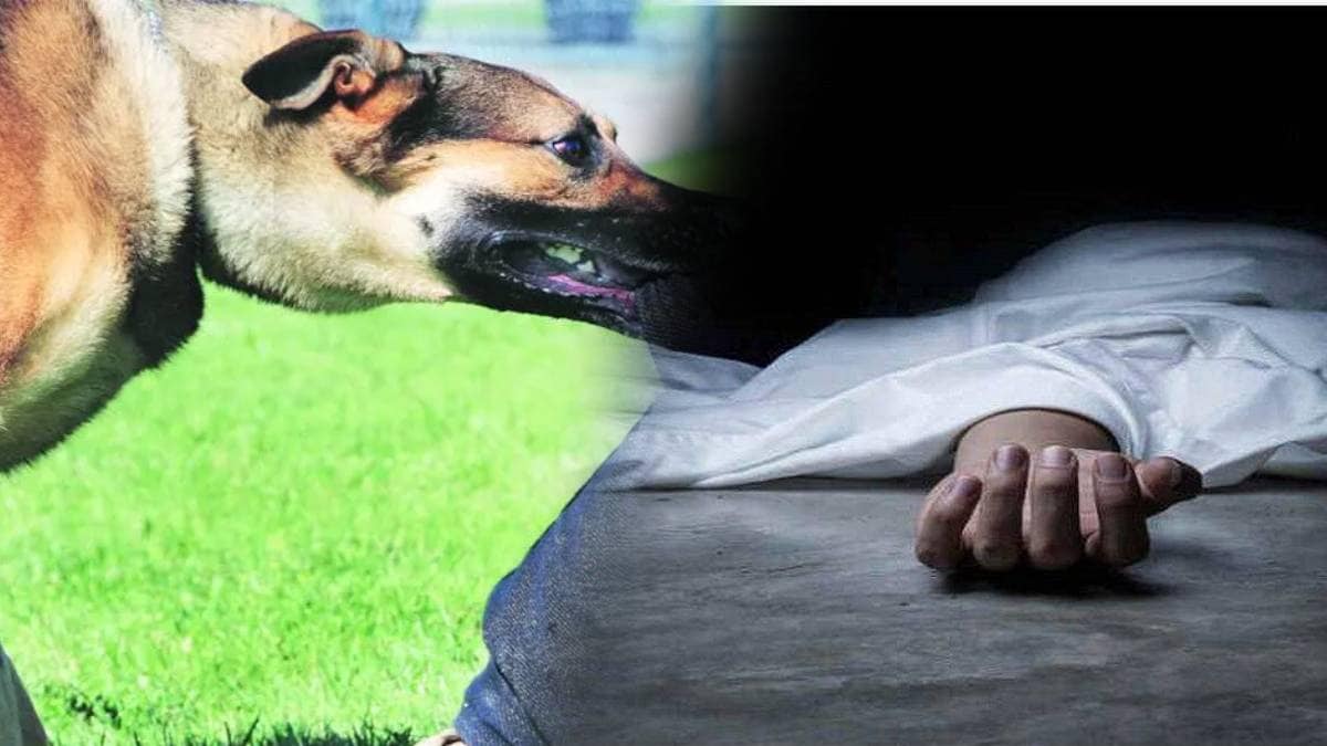 65 year old farmer calls neighbours pet dog a dog gets killed Shocking Murder Case Goes Viral