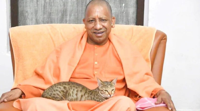 मुख्यमंत्री योगींनी मांडीवर मांजर बसल्याचा फोटो ट्वीट करताच नेटकरी म्हणाले, “आम्ही गुंड…”