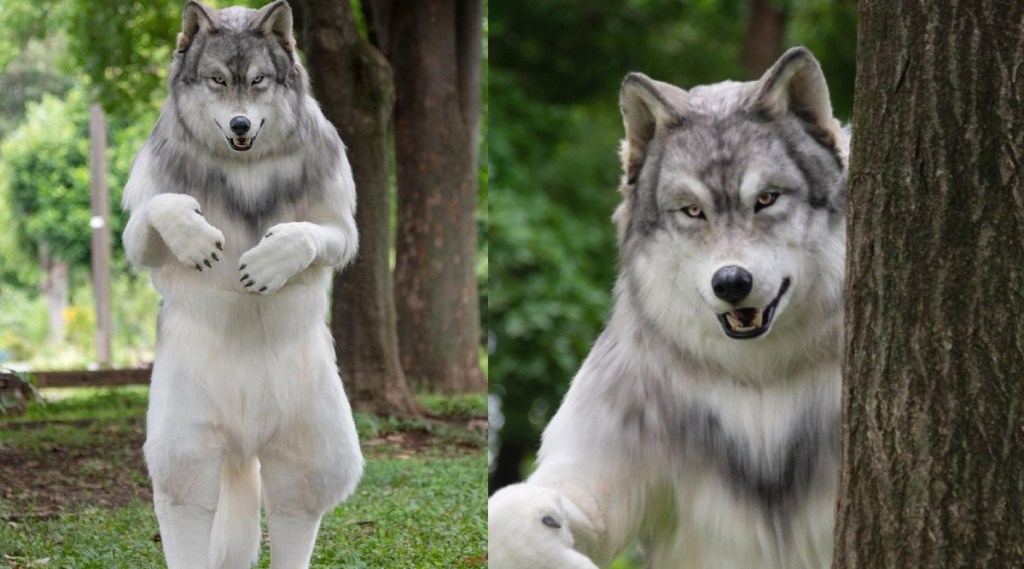 japanese man spend 18 lakh rupees on wolf costume