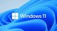 windows 11 Factory Reset