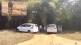 party Tadoba Andhari Tiger