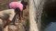 man fell into a well buldana