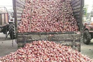 Onion prices falling navi mumbai