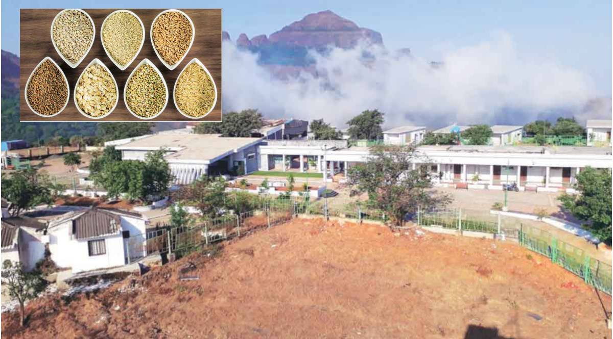 MTDC tourist accommodation