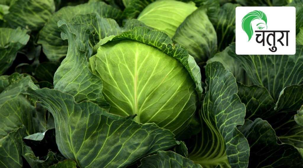 cabbage, health