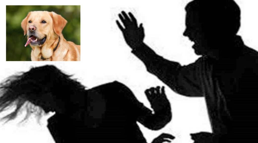 Woman beaten Hadapsar pune