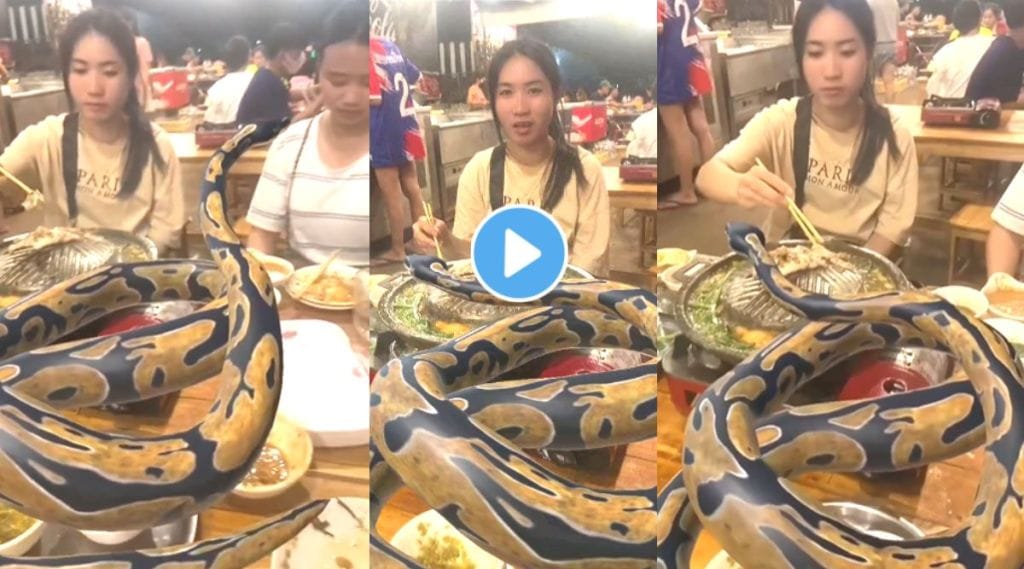 Snake in dinner party viral video on Instagram