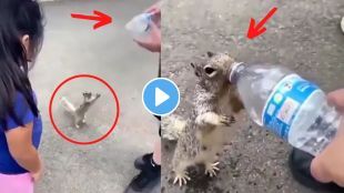 Squirrel Viral Video On Twitter