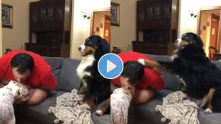 Viral Video Dog Gets jealous as his owner kisses another dog his cute reaction wins internet