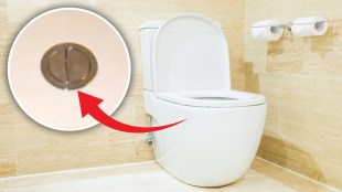 toilet flush button logic
