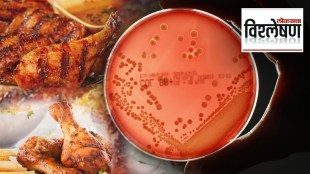 superbugs