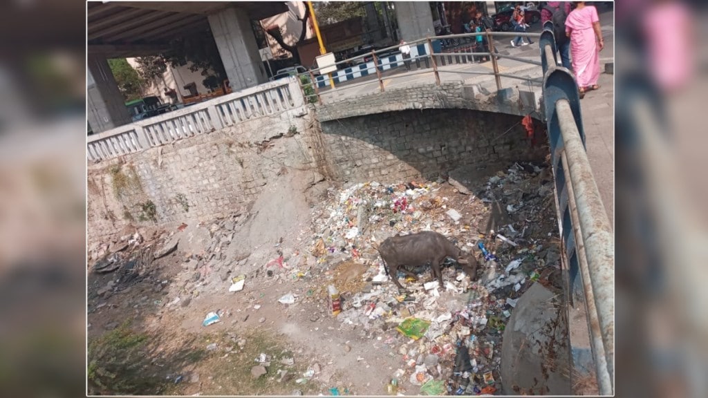 garbage in the riverside area in front of Pune Municipal Building