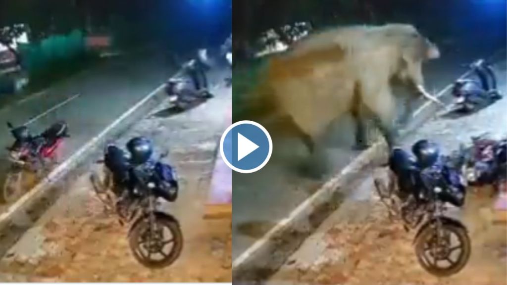 Elephant Hits Bike Parked On Road