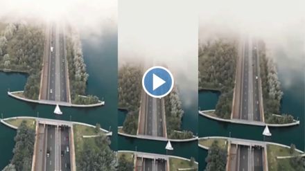 Netherlands reverse bridge