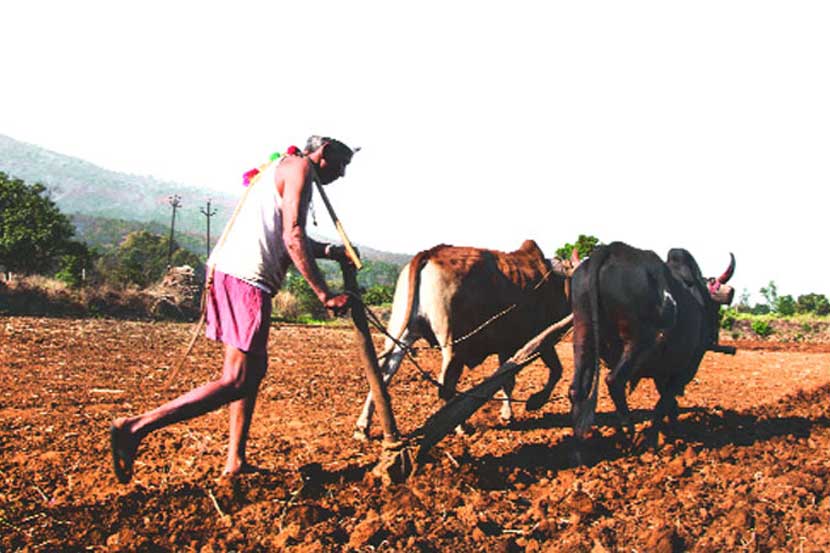 Salokha Yojana maharashtra