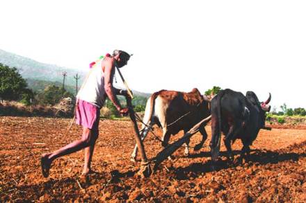 Salokha Yojana maharashtra
