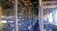 gujarat court acquits 22 accused in godhra riots c