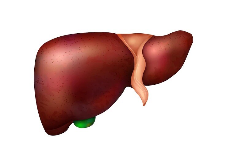 healthy liver diet 