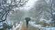 snowfall in the mountains increased the cold in jammu and kashmir